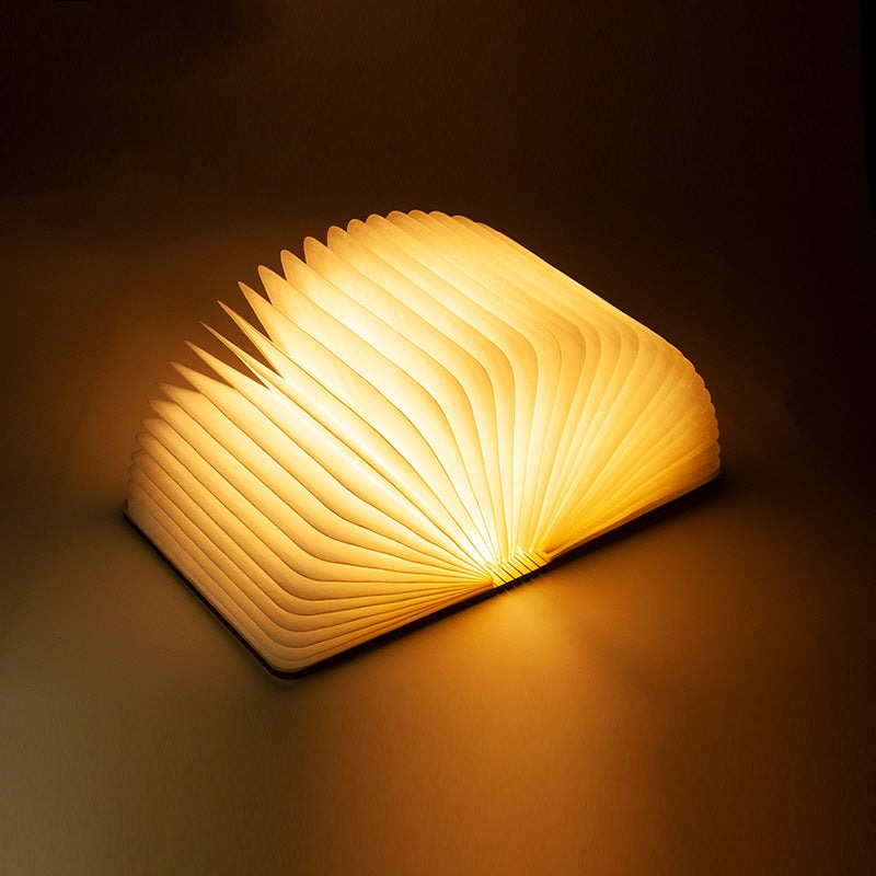 Lampe Livre LED Ambiance Maison — USB, Style Européen, 2.5W, 3 Coloris